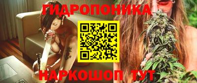 Альфа ПВП Новокубанск