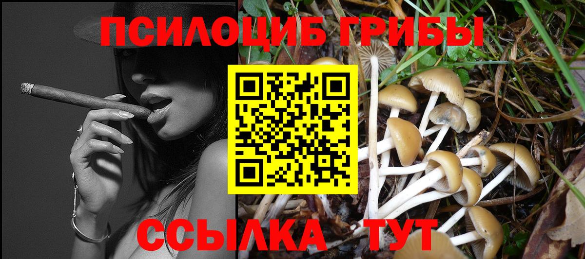 Псилоцибиновые грибы Cubensis  Вход с VPN  Псилоцибиновые грибы мухоморы  Свободный 